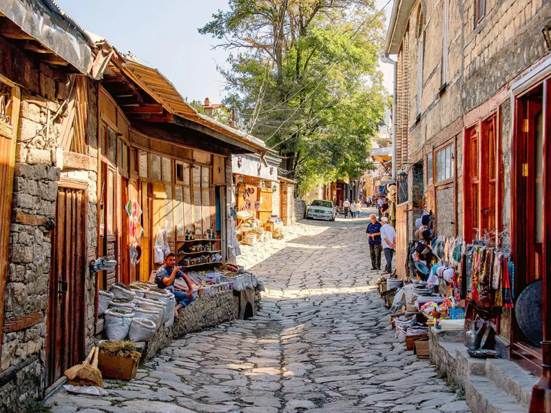 Лавандовые поля и альпаки — сказочный тур в Лагич и Исмаиллы — фото 5, Баку | Покатаем