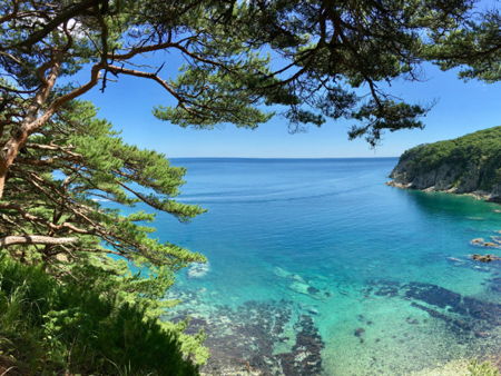 Дом-замок Яна Янковского