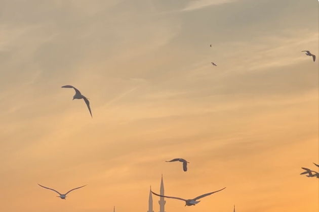 Виды Прогулка на яхте по Босфору с персональным гидом