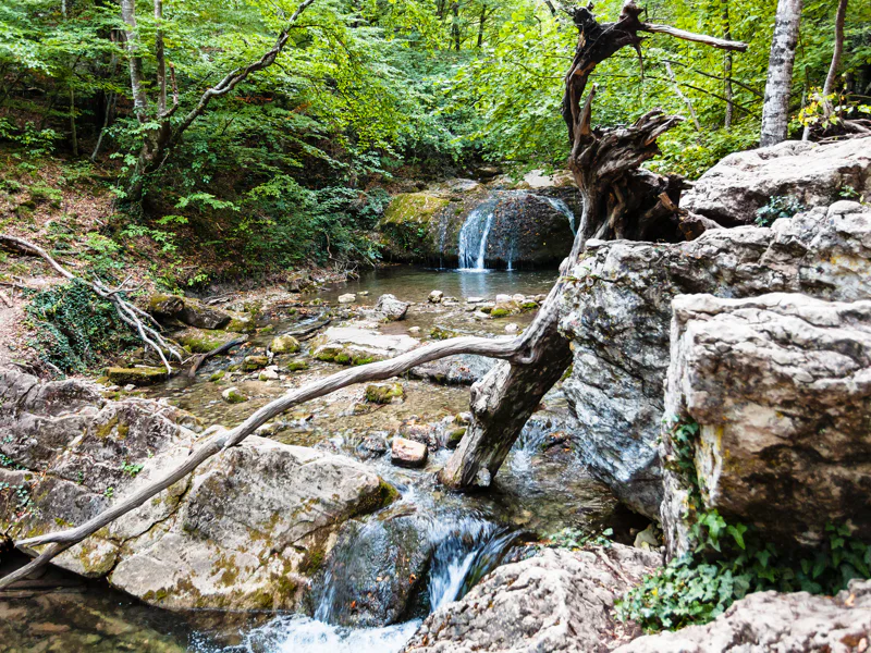 Затерянный мир Крыма: трекинг к Ай-Йори — фото 7, Алушта | Покатаем