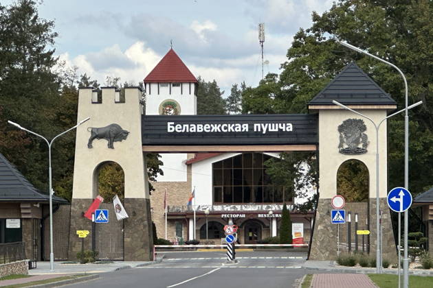 Путешествие в Беловежскую пущу,  Каменецкую башню: автотур из Бреста
