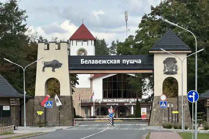 Путешествие в Беловежскую пущу, Каменецкую башню: автотур из Бреста