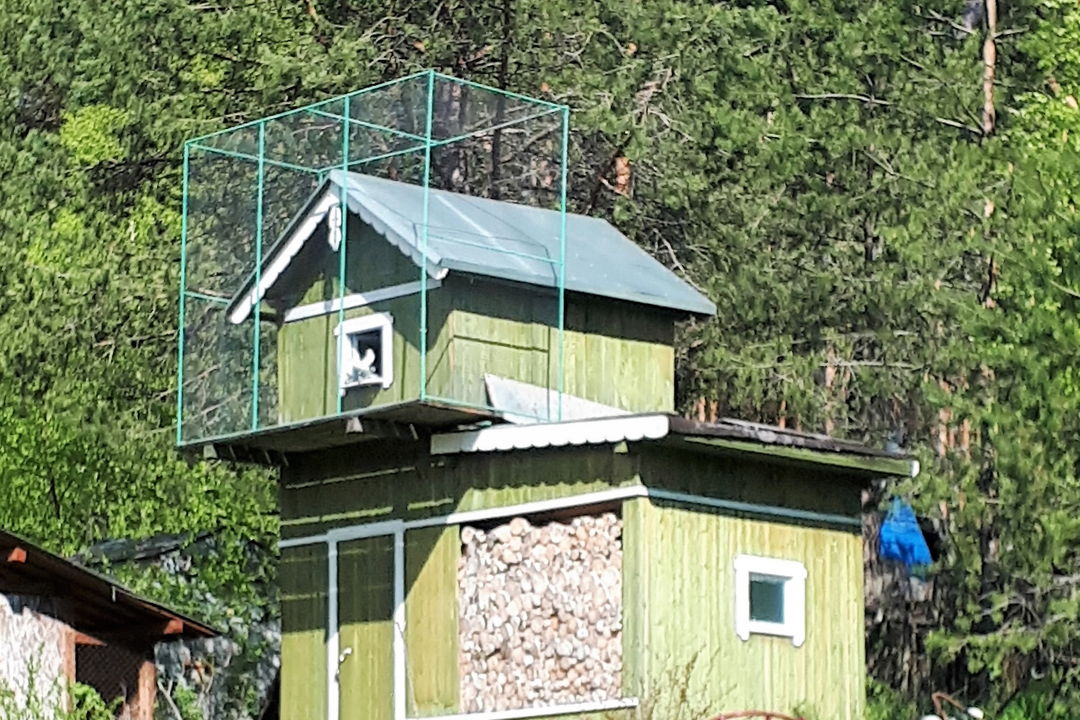 Необычные маршруты, путешествие в г. Медвежьегорск — фото 3