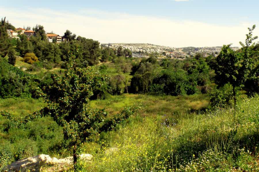 По паркам Иерусалима на велосипеде - фото 3