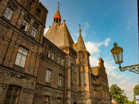 Ботанический сад 