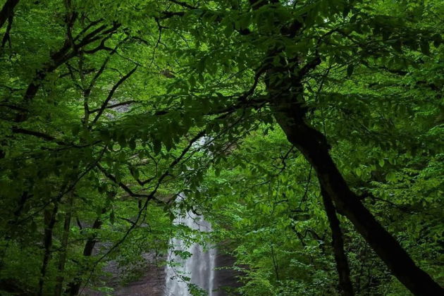 Виды Скрытые сокровища Южного Дагестана: водопады Келе и каньон Мерки