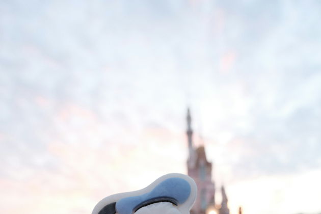 Диснейленд в Гонконге: купон на питание