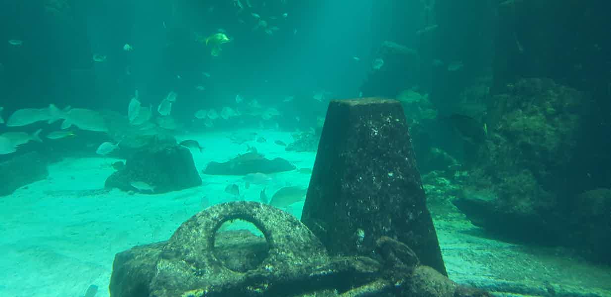 Секреты подводного мира: аквариум Lost Chambers (входной билет) - фото 1