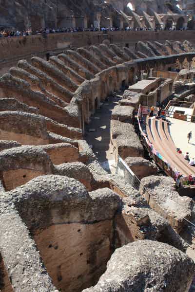 Colosseum, Palatine Hill & Roman Forum Guided Tour - photo 5