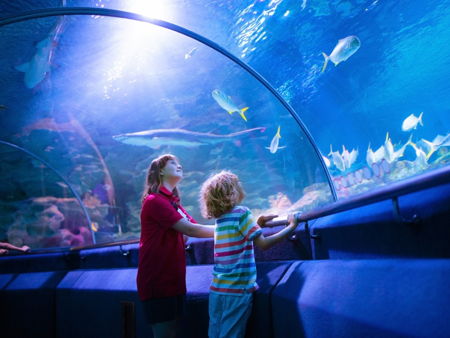 Океанариум Sea World