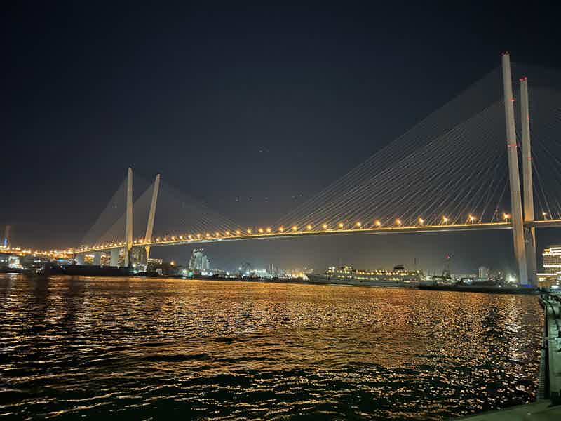 Город V под светом звезд (вечерний Владивосток) - фото 5