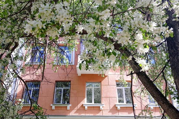 Миры и дворы Уралмаша