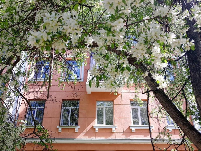 Миры и дворы Уралмаша