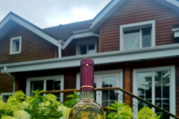 Виды «В гостях у Винодела» на Садгороде