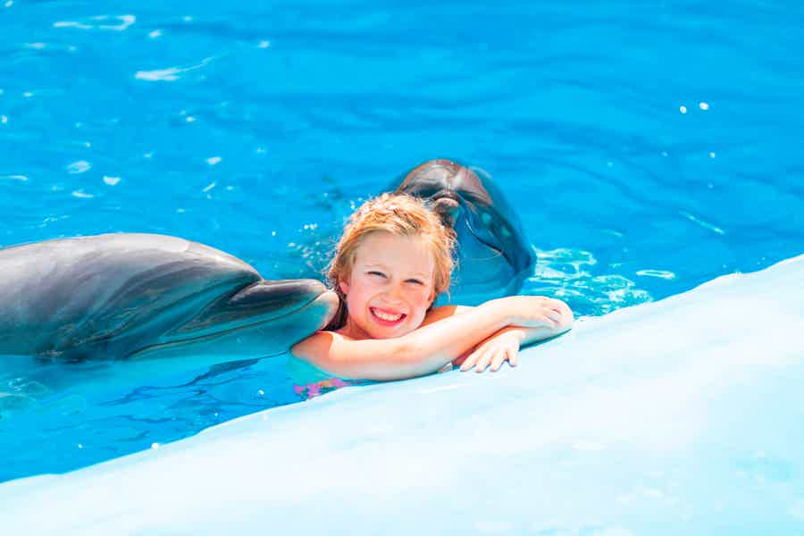 Swimming with dolphins in Antalya - photo 4