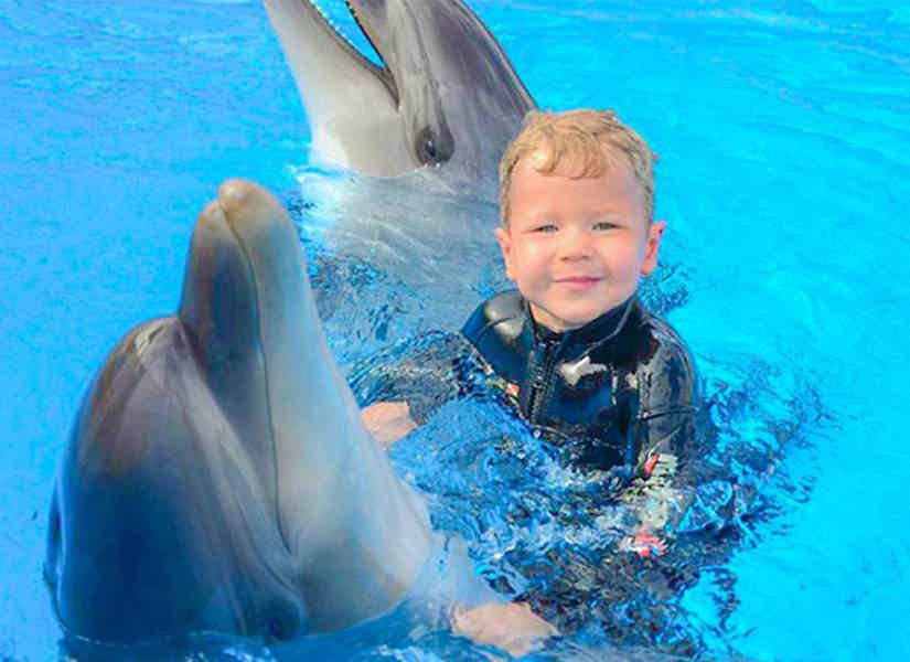 Дельфинарий и плавание с дельфинами в Шарм-эль-Шейхе  - фото 5