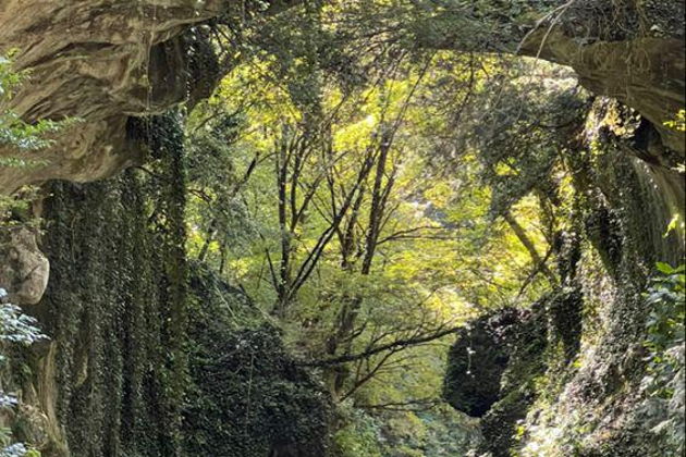 Виды Природные чудеса Грузии: Мартвили и Прометей