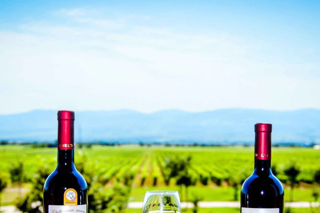 Виды Гастрономическое путешествие в сердце Кахетии — вкус, традиции и эмоции