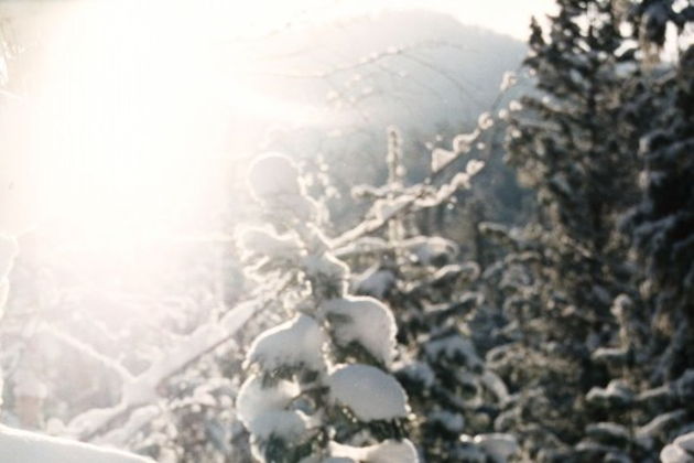 Курорт Манжерок и дегустация национальных алтайских блюд в этнокафе