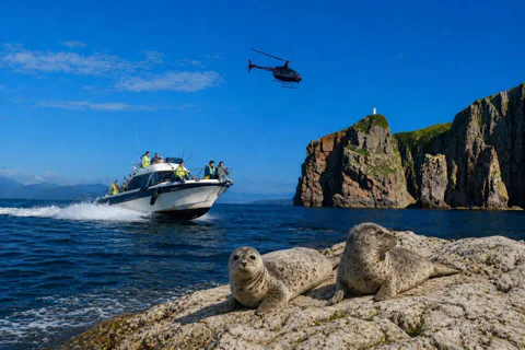 Морское приключение Владивостока: Тобизина, Шкота, котики и мореферма