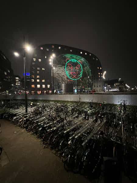 Авторская велосипедная экскурсия по всему Роттердаму  - фото 14