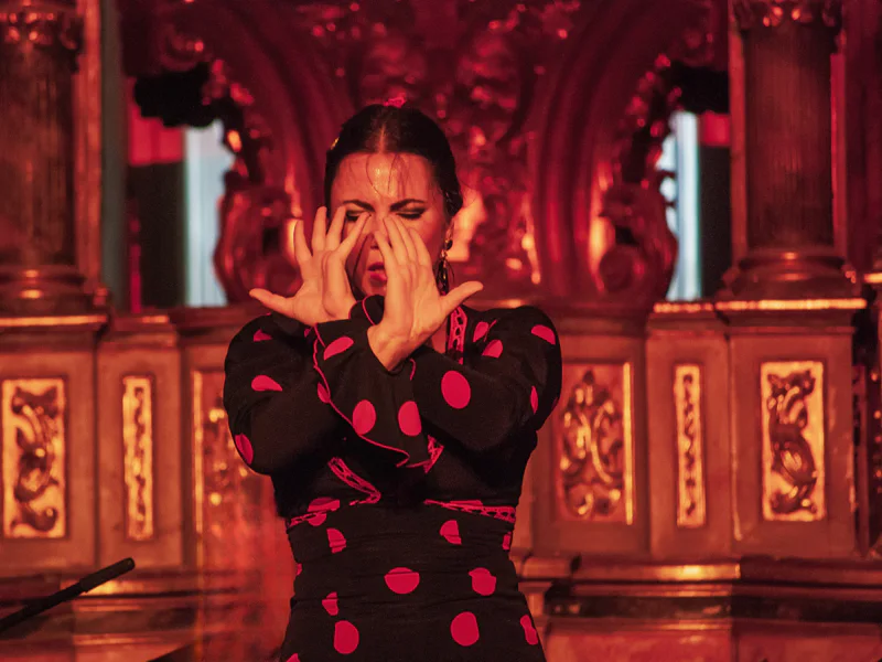 Входные билеты на шоу Puro Flamenco и в Музей танца — фото 4, Севилья | Покатаем