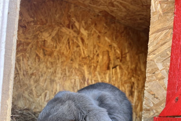 Виды Экскурсия на ферму альпак и Кравцовские водопады