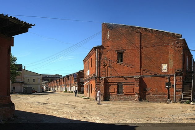 Виды В поисках хайпа