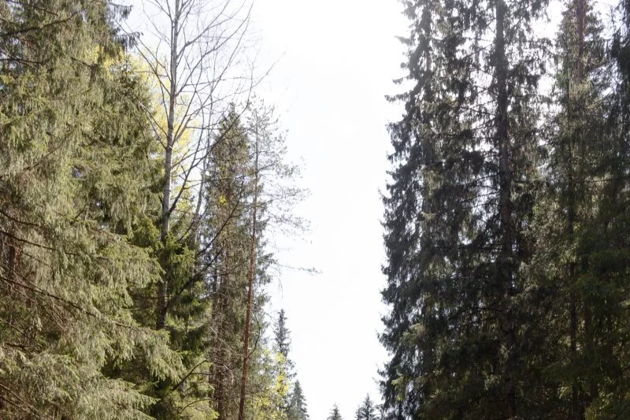 Виды Места силы Карелии: Долина водопадов и земля древних