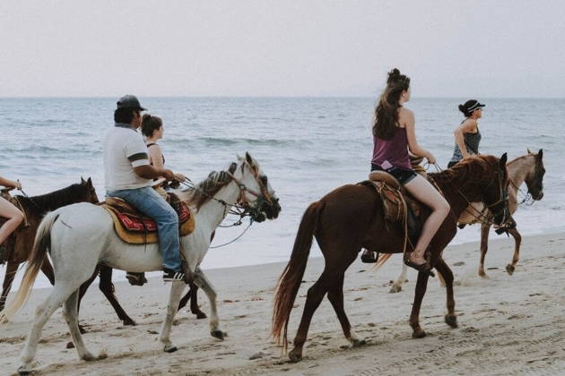 Конная прогулка с живописными видами
