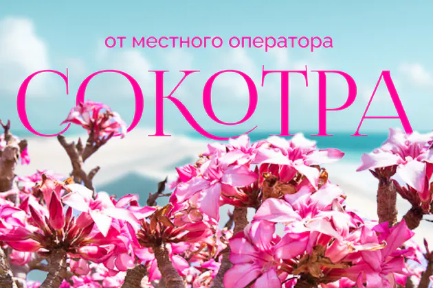 Экскурсии:  Остров Сокотра