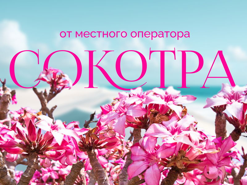Сокотра-Увидеть бесконечность 10 дней треккинг 