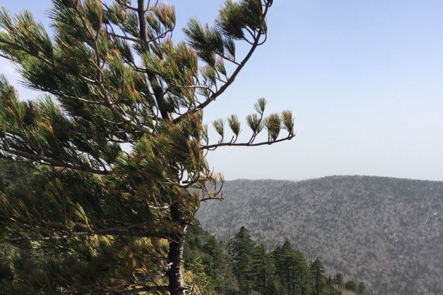 Виды Восхождение на г. Литовка (Фалаза)