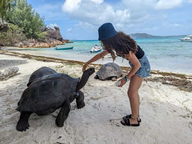 Праслин и Ла Диг: два острова мечты за один день - фото 5