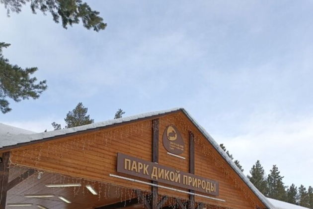 Виды Новогодние приключения на Байкале из Улан-Удэ 