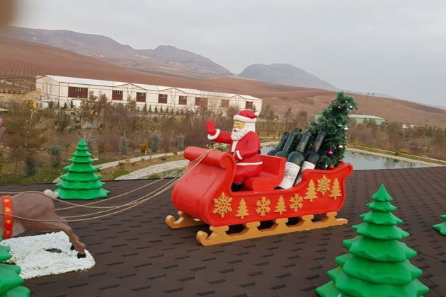 Виды Винный тур и не только: альпаки, древний мавзолей и  обсерватория в горах 