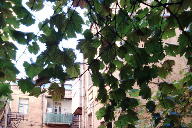 Виды Старый купеческий Ростов