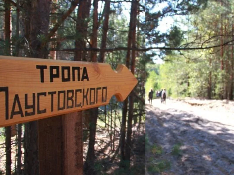 Солотча: жемчужина Мещеры — фото 4, Рязань | Покатаем