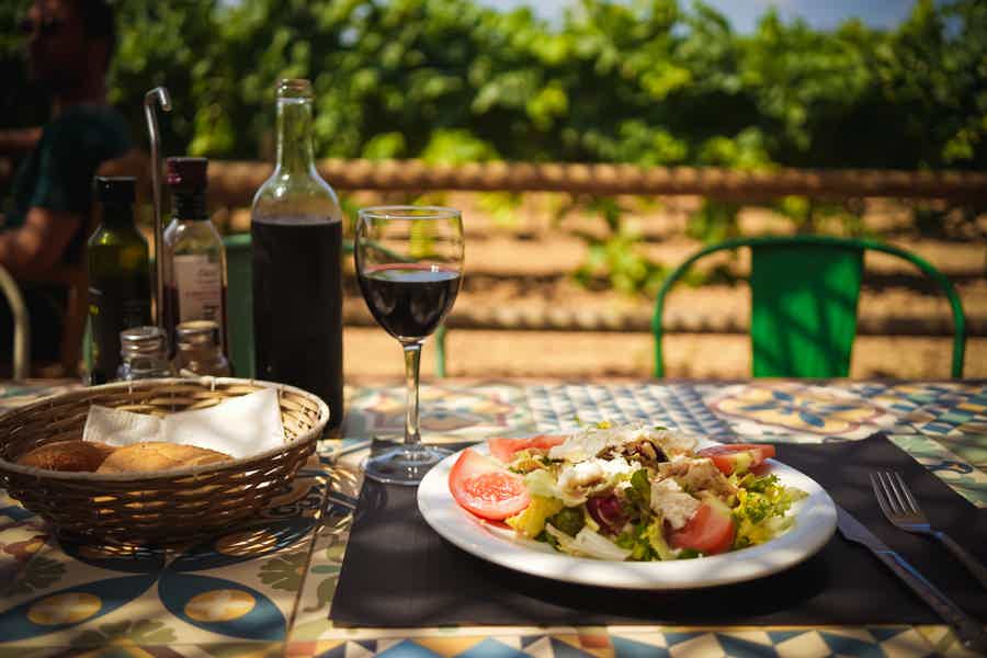 Лучшие винодельни Каталонии с дегустацией вина, кавы и обедом на виноградниках - фото 4
