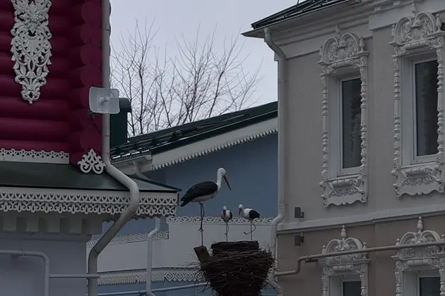 Арзамас: город величественных соборов и уютных домиков — фото 3