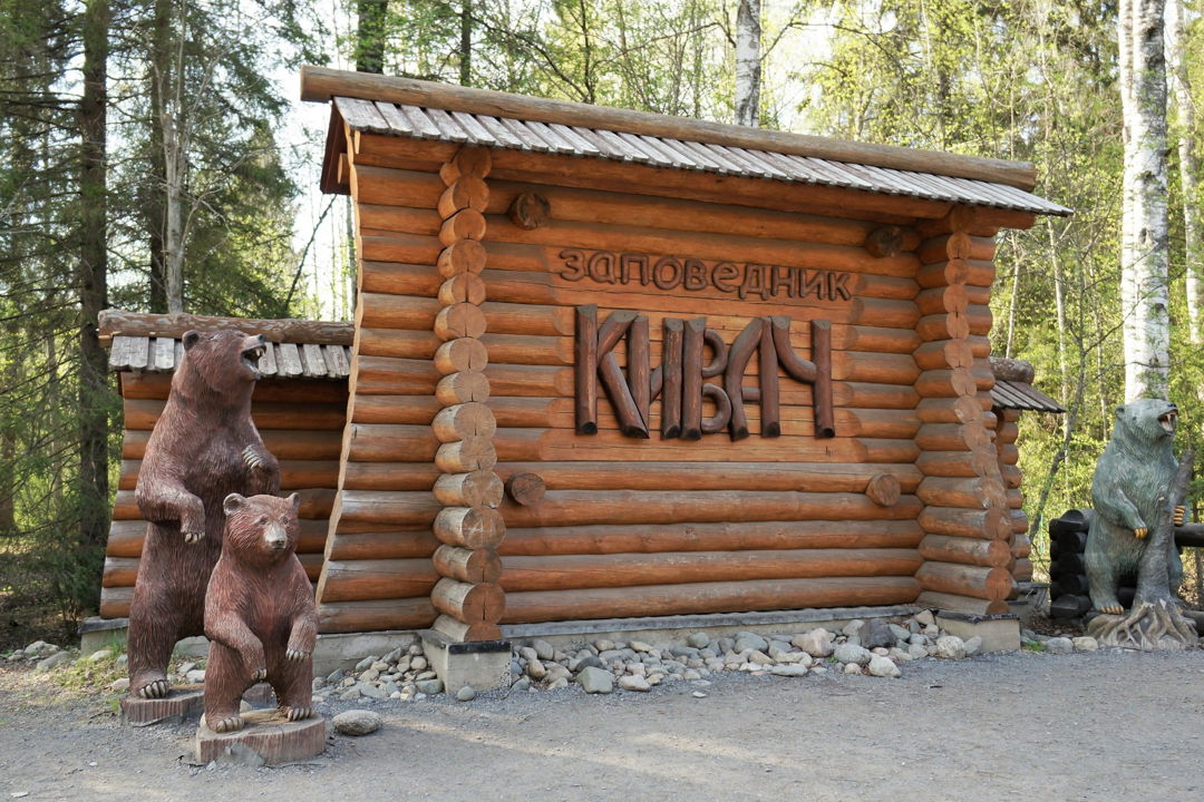 Увидеть всё: Золотое кольцо Карелии за один день — фото 5