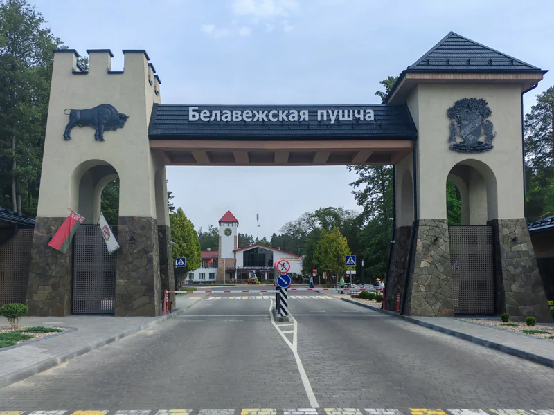 Экскурсия в Беловежскую Пущу на весь день из Минска — фото 6, Минск | Покатаем