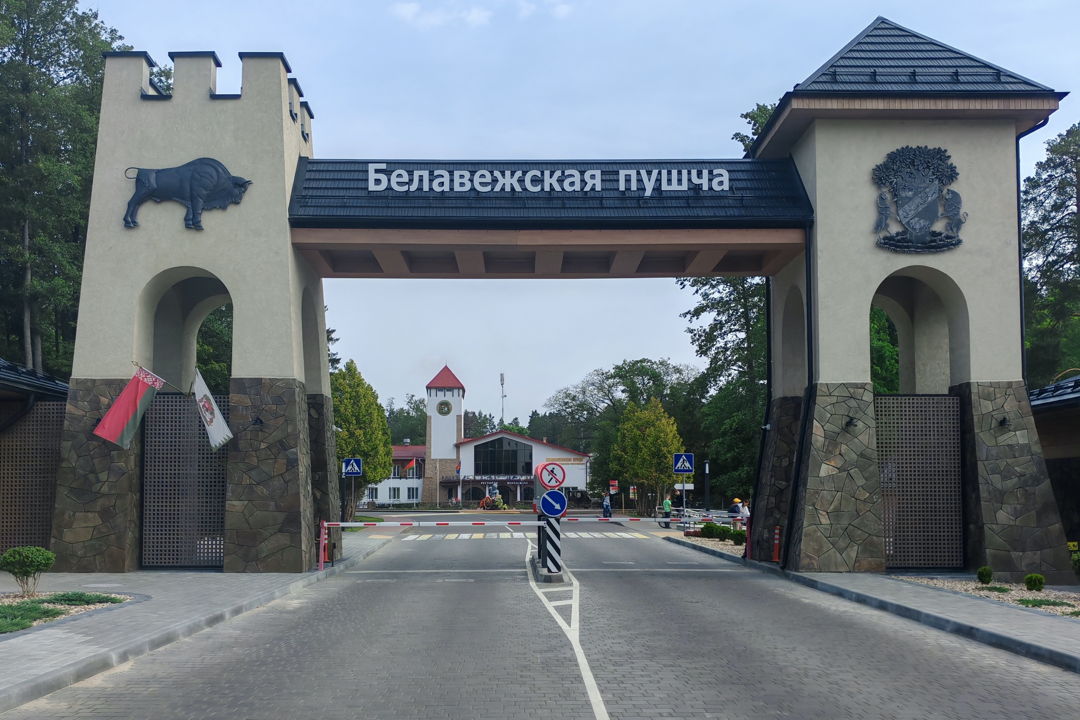 Экскурсия в Беловежскую Пущу на весь день из Минска — фото 5
