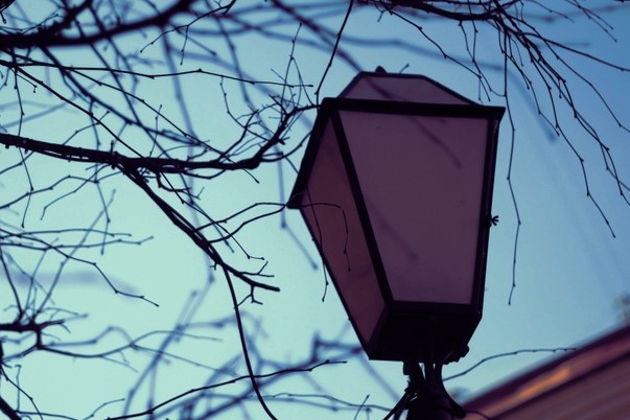 Виды Легенды и яви дворцовых переворотов