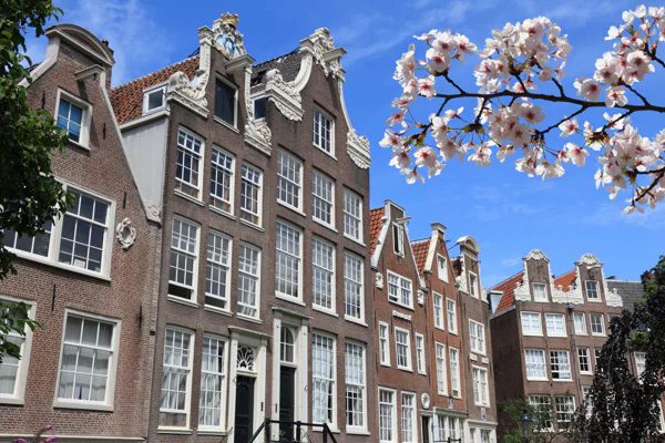Gourmet walking tour Amsterdam — photo 7, Amsterdam | Pokataem