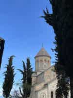 Экскурсия "Велисцихе: история кахетинского виноделия с винным музеем Numisi" - фото отзыва 1