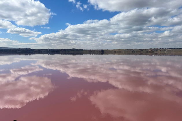 Виды Азербайджанская Албания
