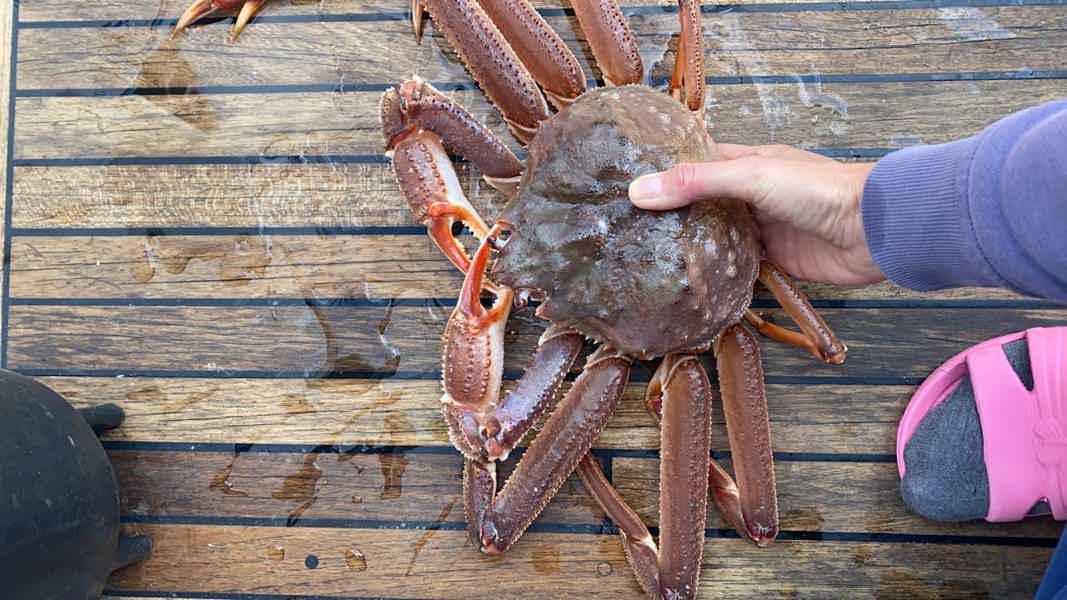 Морская прогулка в бухту Русская с высадкой на берег: сивучи, киты, рыбалка - фото 6