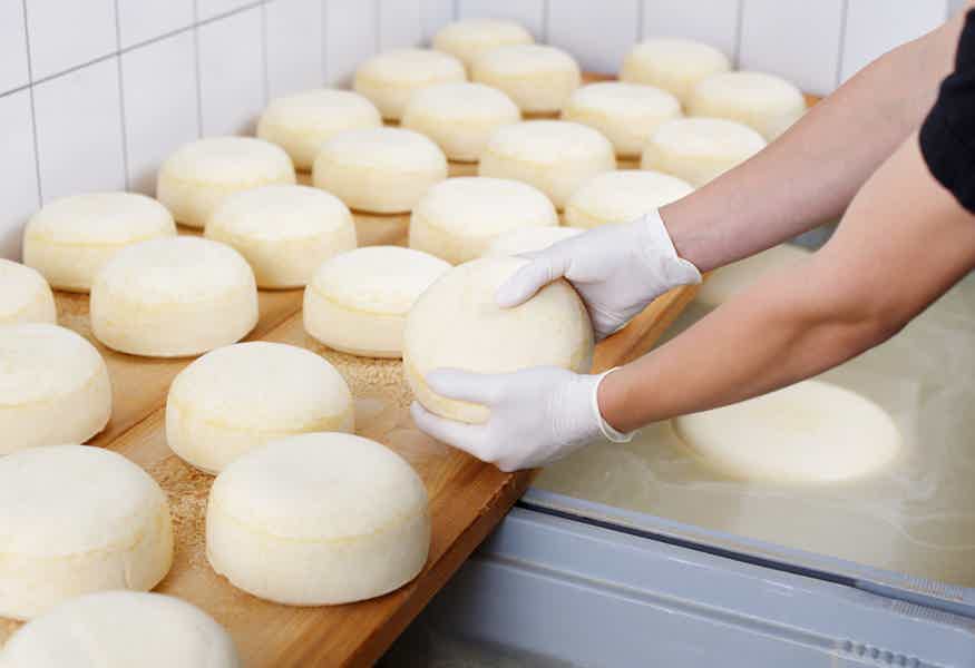 Мастер-класс и дегустация сыров от марийских производителей - фото 3