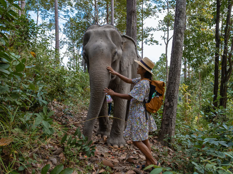Jumanji — photo 3, Phuket | Pokataem